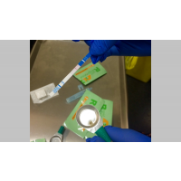 Rapid Response Harm Reduction