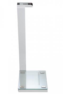 seca Waist High Digital Scale with glass platform