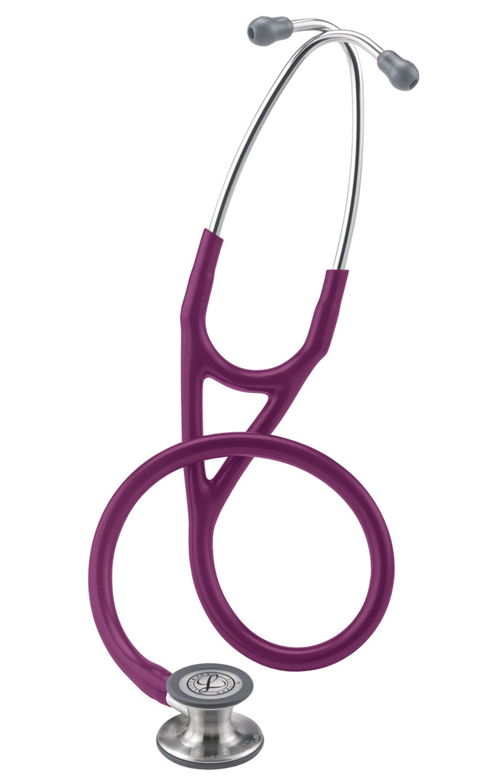 Plum - 6156