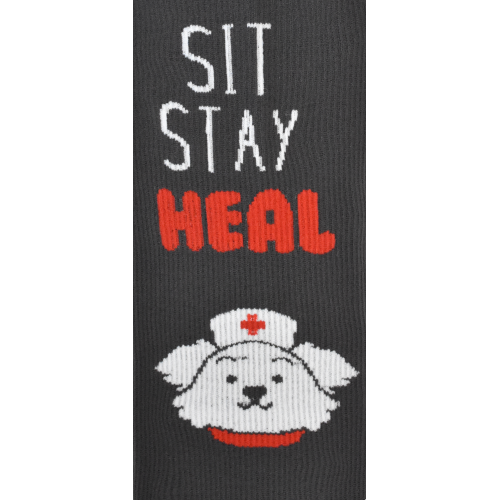 Premium Sit Stay Heal Dog - TK94766